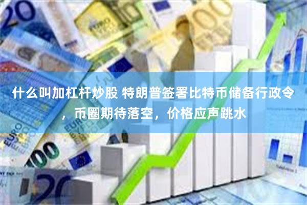 什么叫加杠杆炒股 特朗普签署比特币储备行政令，币圈期待落空，价格应声跳水