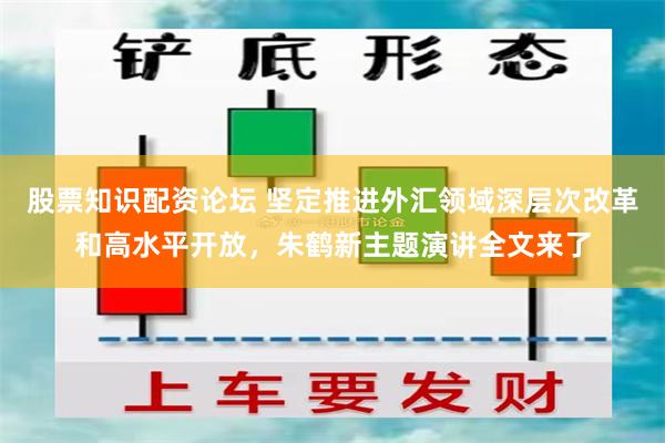 股票知识配资论坛 坚定推进外汇领域深层次改革和高水平开放，朱鹤新主题演讲全文来了