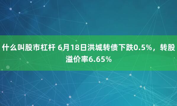 什么叫股市杠杆 6月18日洪城转债下跌0.5%，转股溢价率6.65%