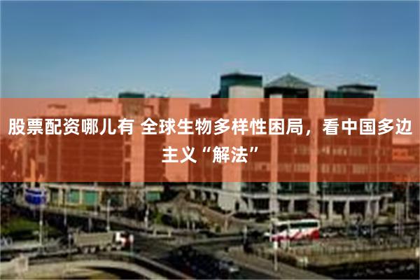 股票配资哪儿有 全球生物多样性困局，看中国多边主义“解法”