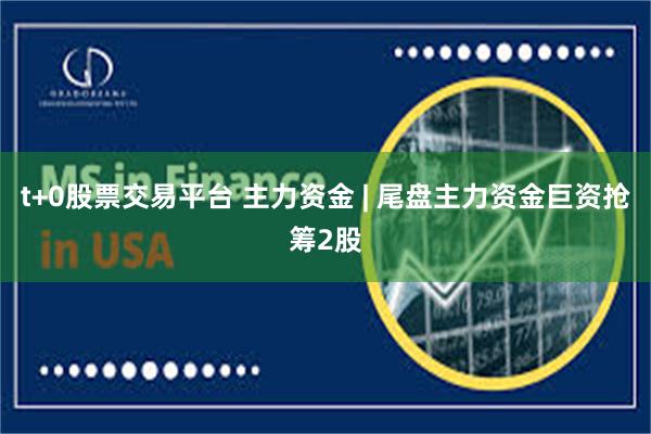 t+0股票交易平台 主力资金 | 尾盘主力资金巨资抢筹2股